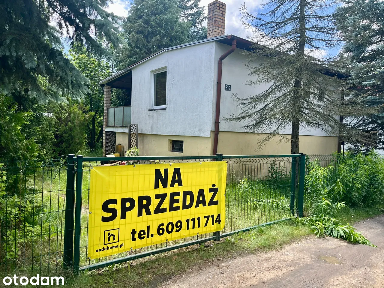 Działka rekreacyjna ROD, wśród lasów nad jeziorem.