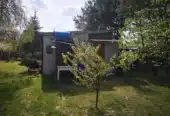 Wyjątkowa działka rekreacyjna na terenie ROD „Witamina”