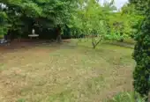 🌿 Sprzedam działkę ROD przy ul. Brzechwy w Poznaniu 🌿