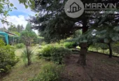 Pięknie Zagospodarowany ROD (300m2) z Domkiem (26m2/5m wys.) !!!